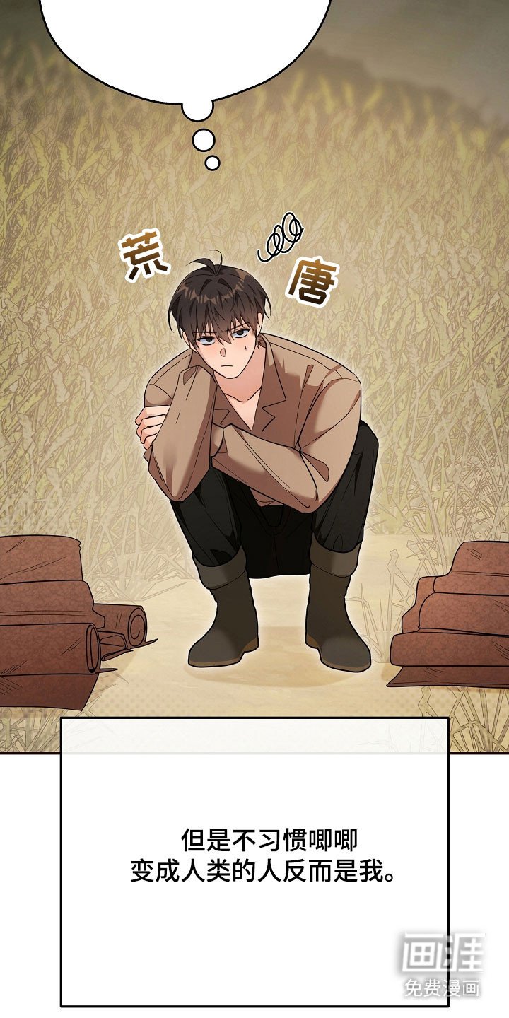 第26章：价值奖励