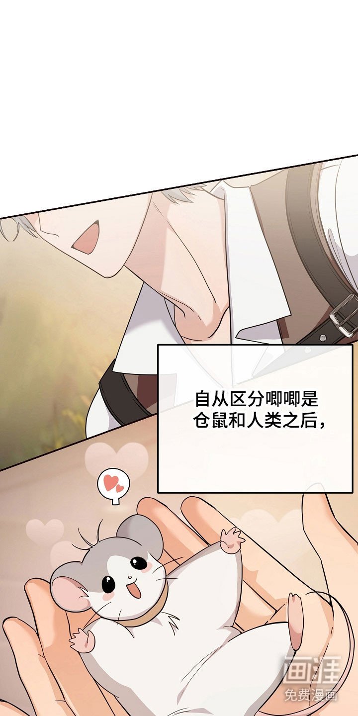 第26章：价值奖励