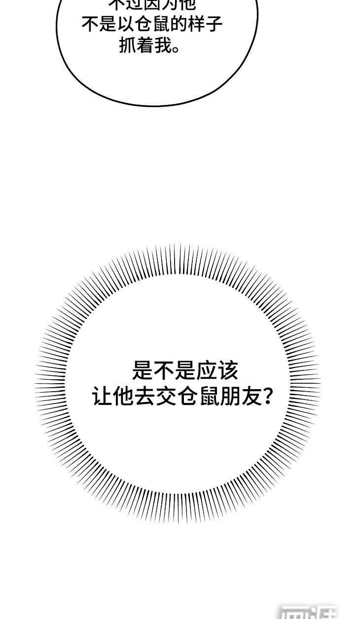 第26章：价值奖励