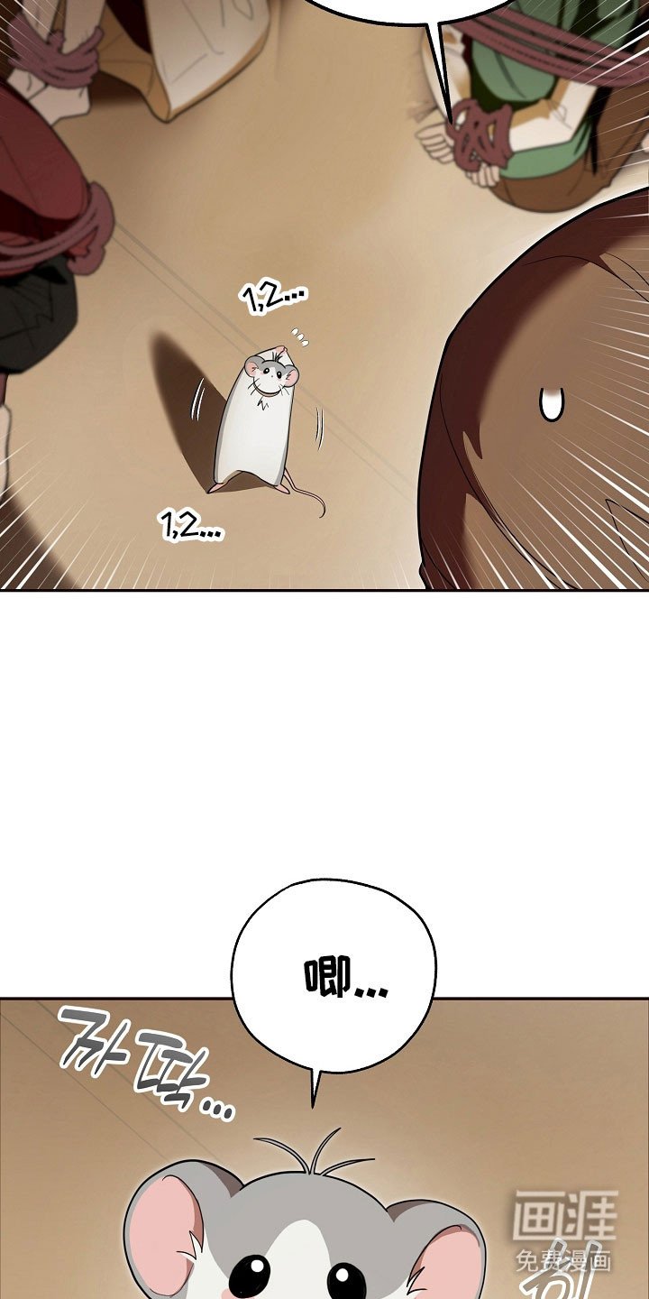 第27章：强制迁回