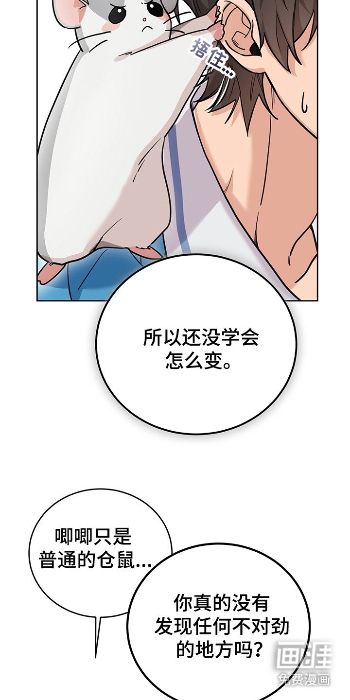 第4章：系统Bug