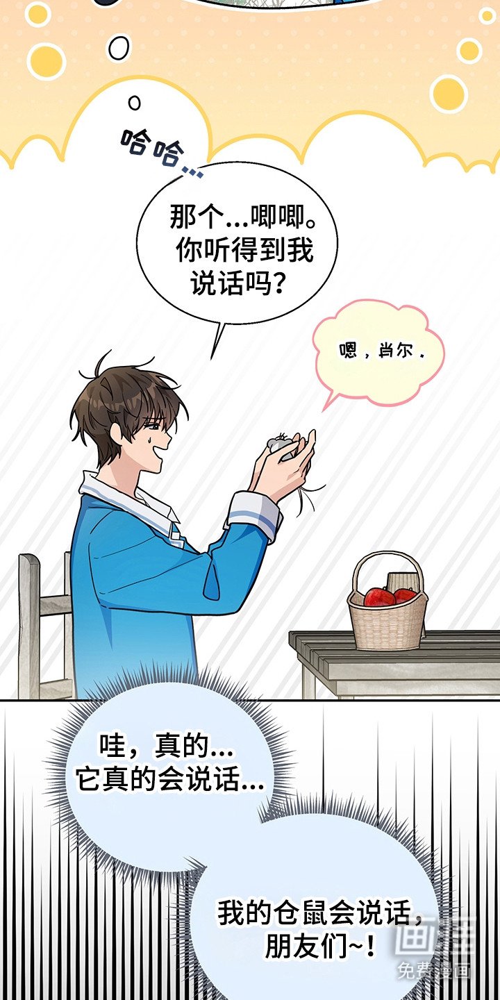 第4章：系统Bug