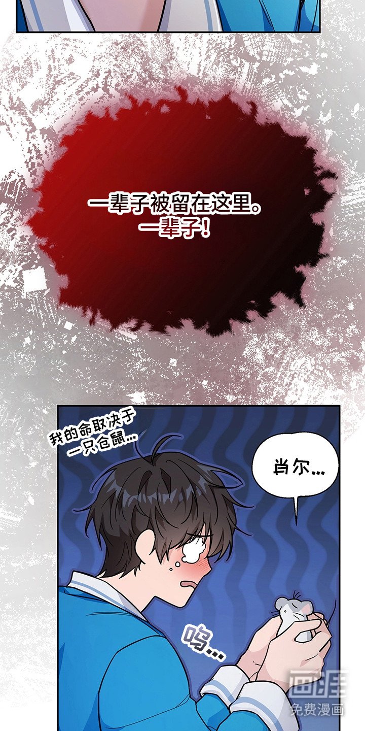 第4章：系统Bug