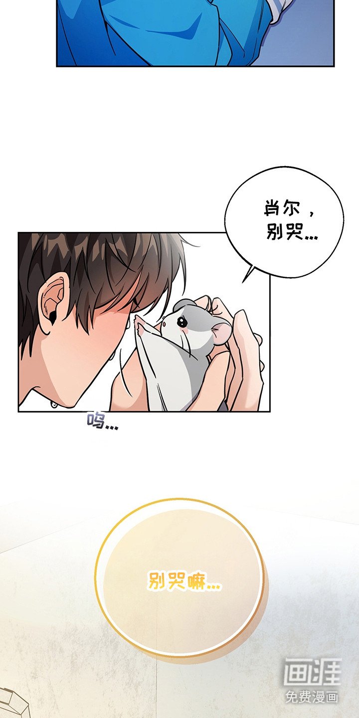 第4章：系统Bug