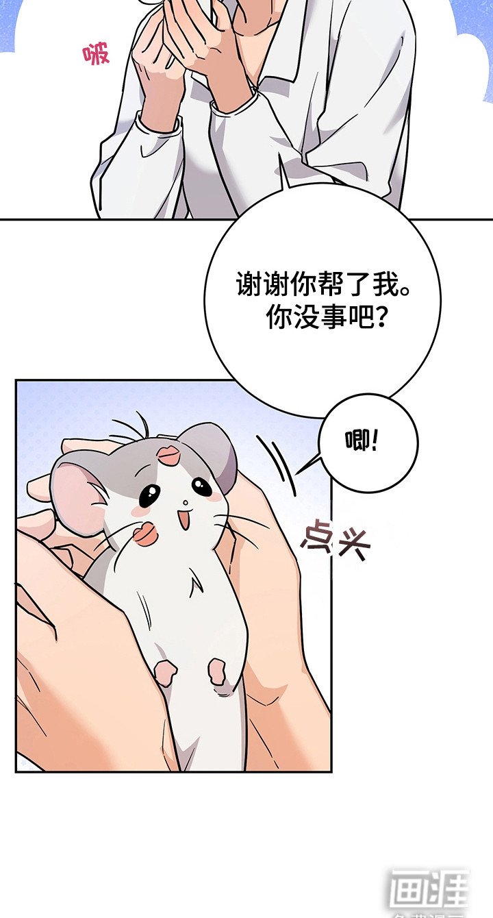 第7章：怪物袭击