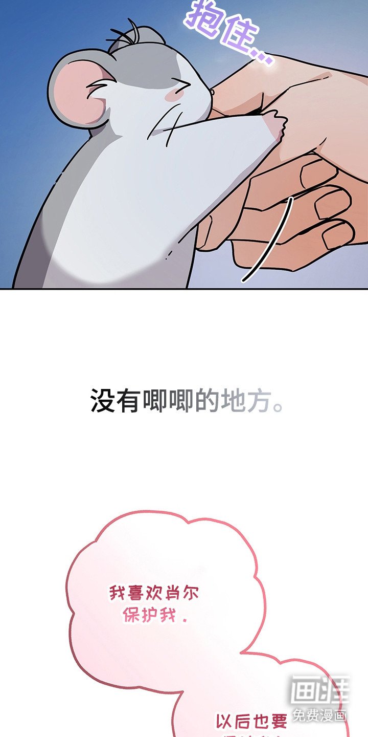 第9章：升级