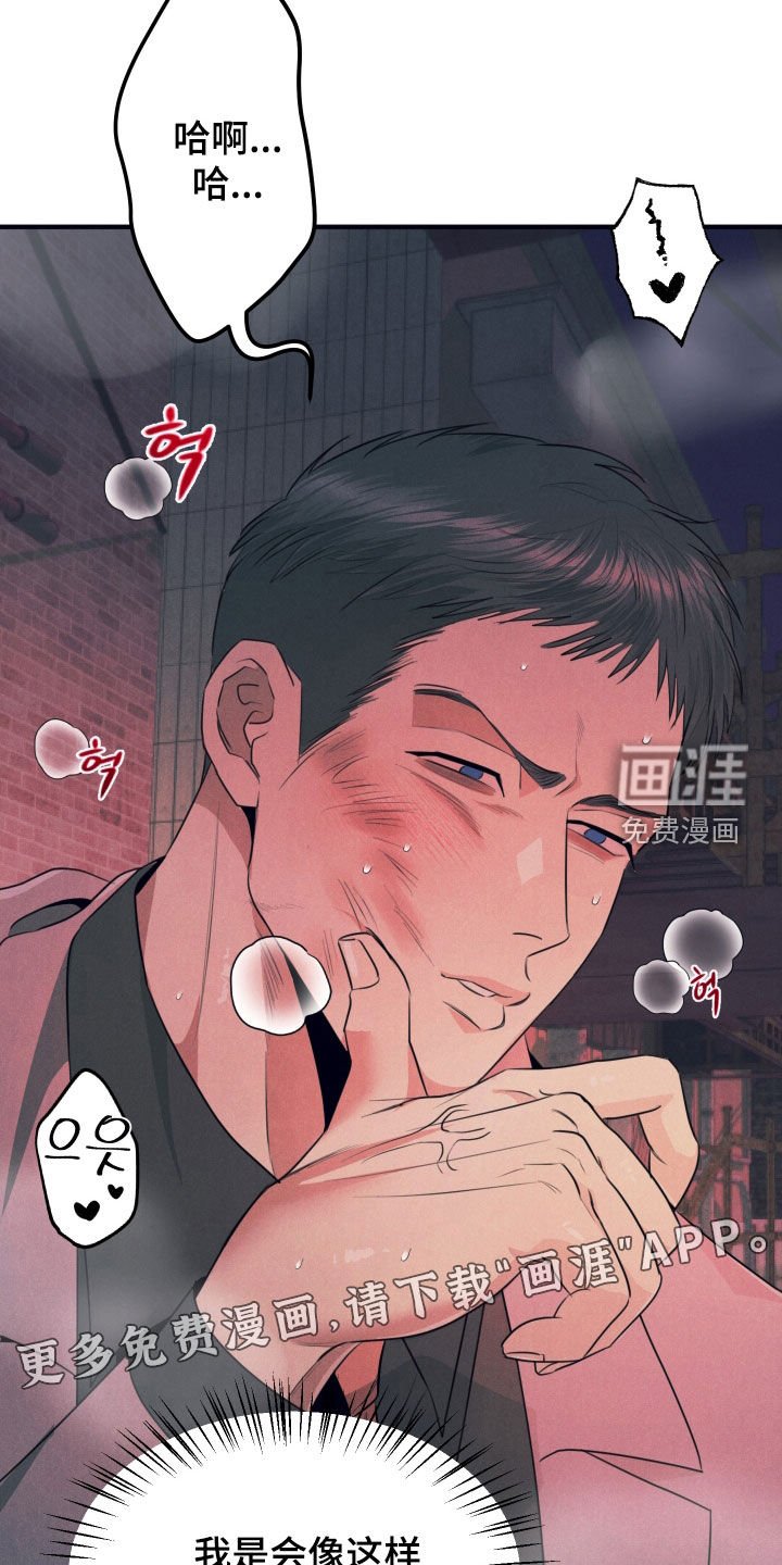 第15章：你就是我的