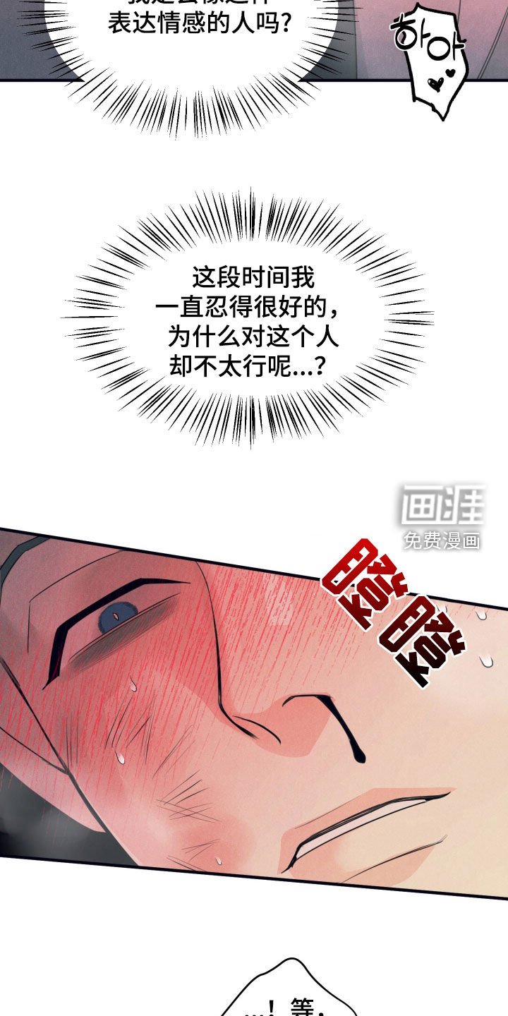 第15章：你就是我的