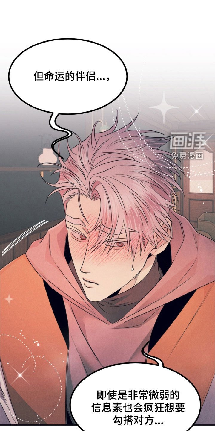 第21章：命运的伴侣