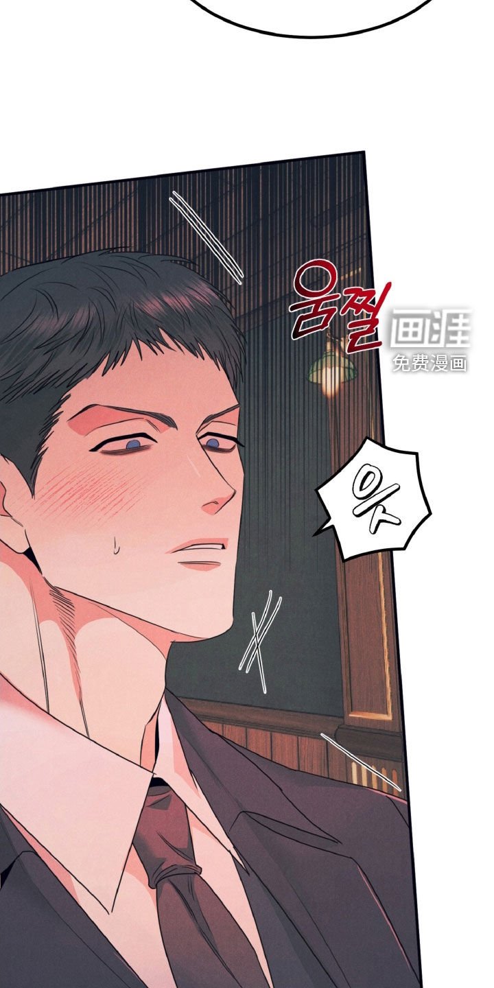第21章：命运的伴侣