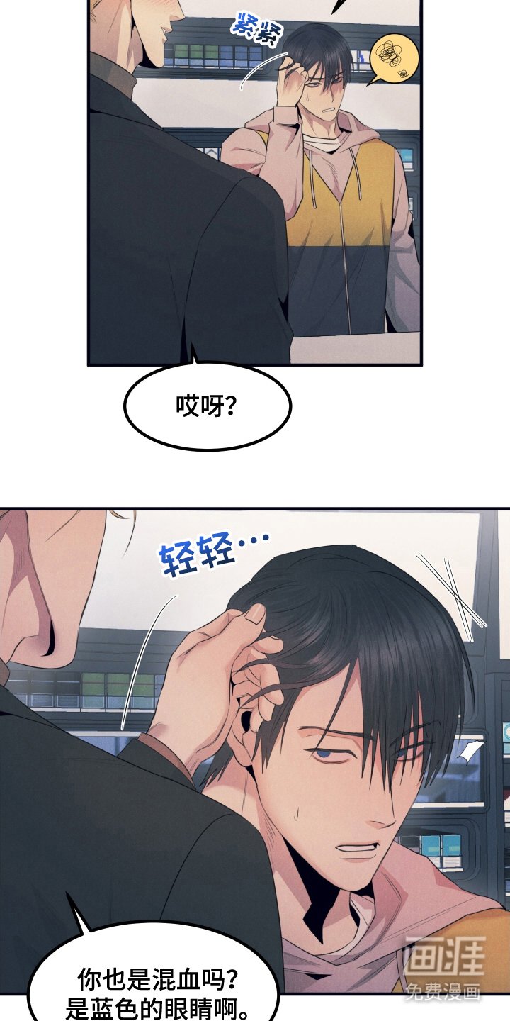 第3章：替身