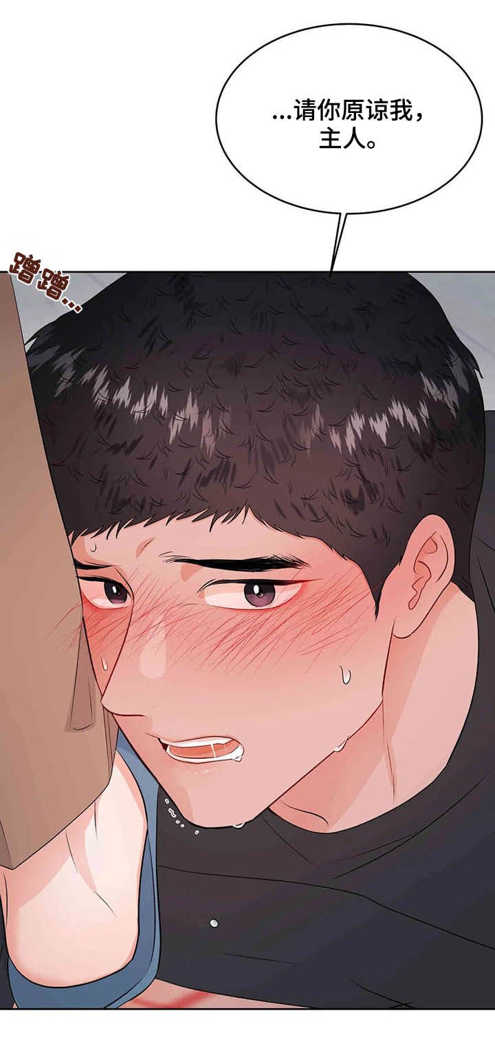 第53章：请你原谅我