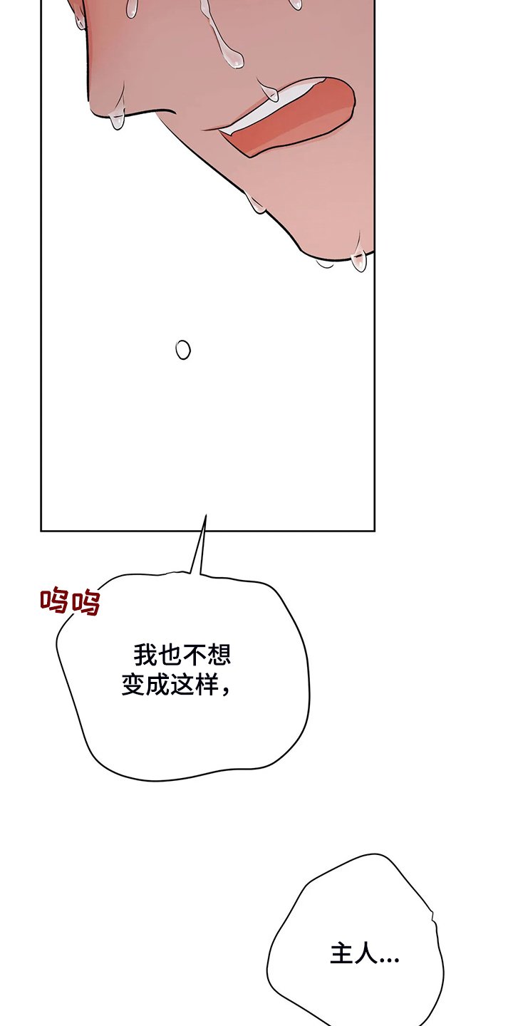 第77章：不会抛弃我