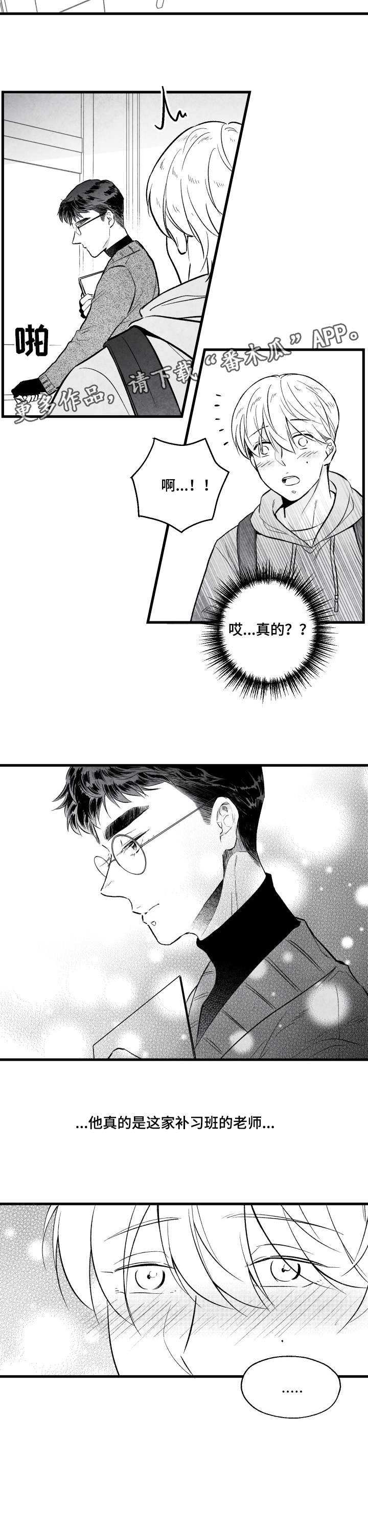 第11章：怪怪的