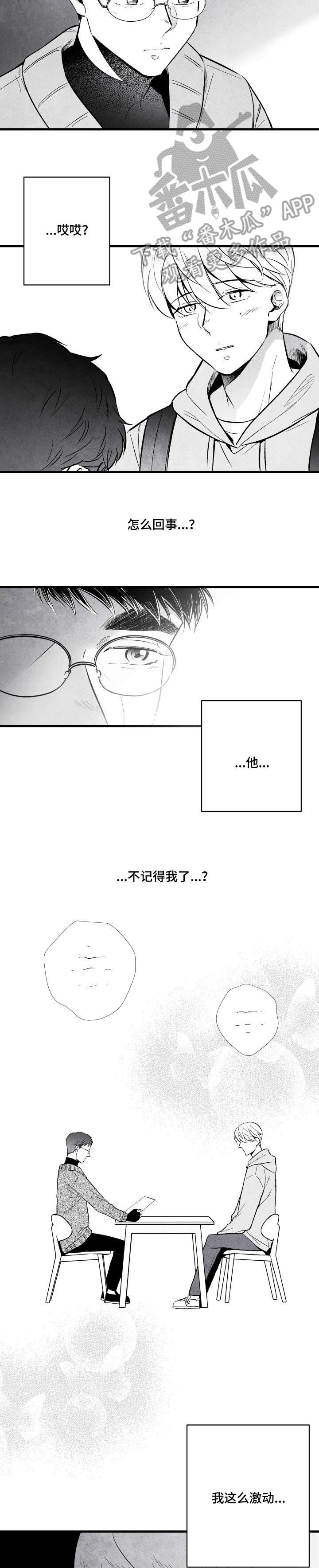 第11章：怪怪的