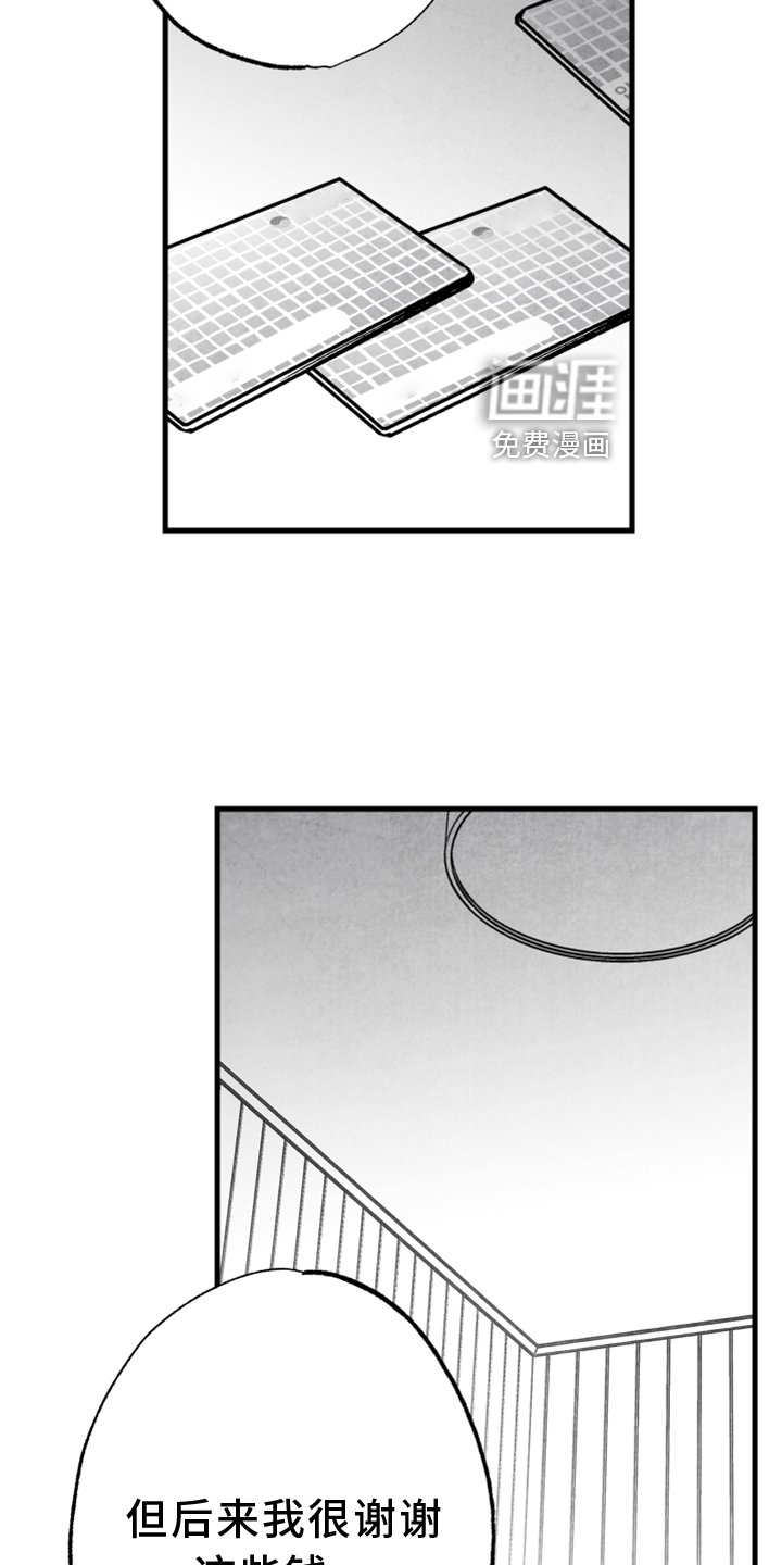第127章：【第二季】一定要幸福