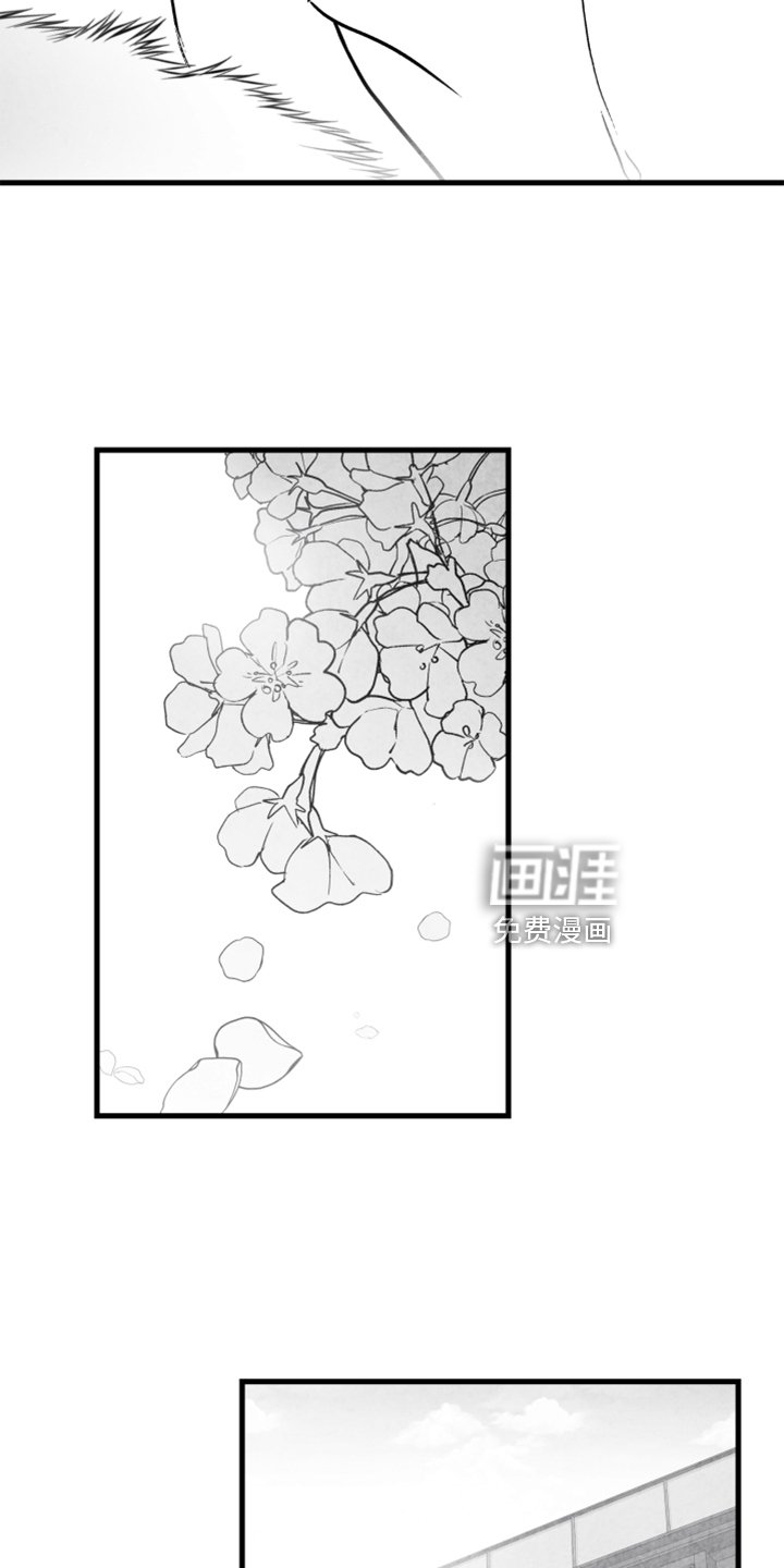 第134章：【第二季完结】我爱你
