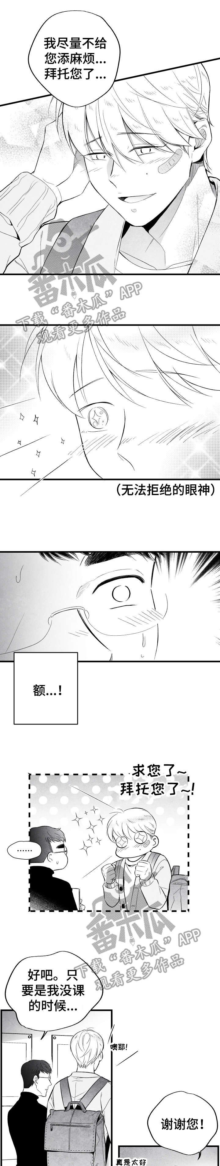 第14章：东西
