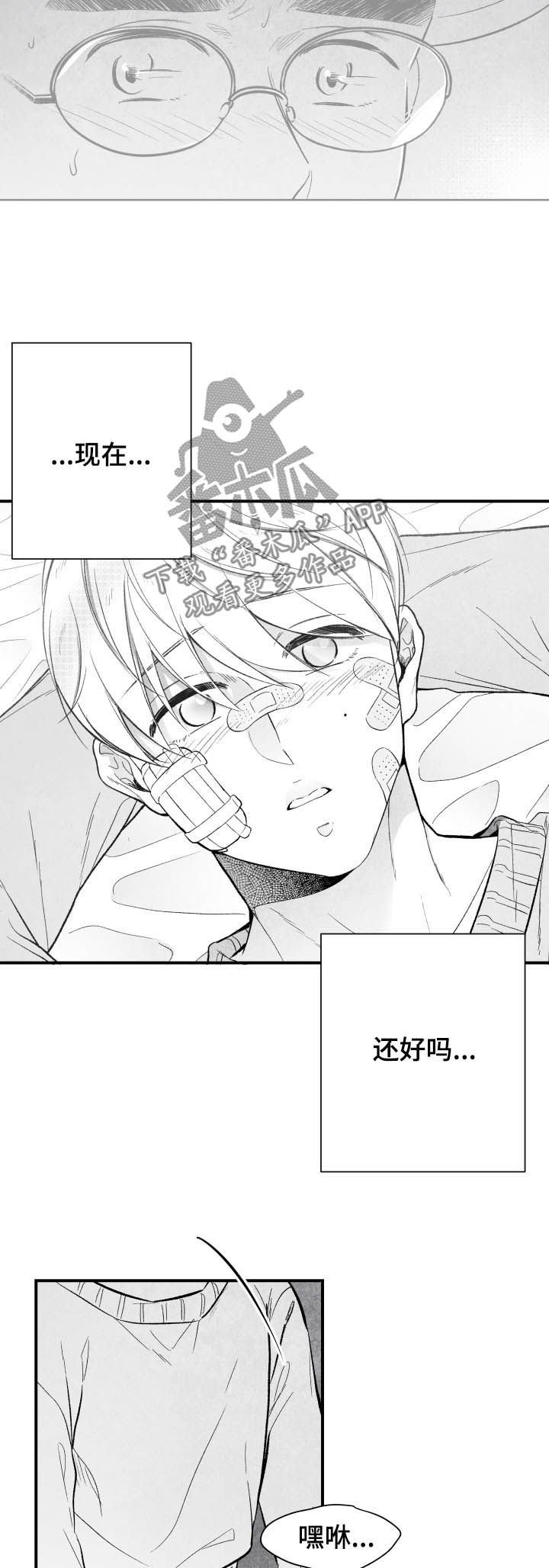 第24章：期待