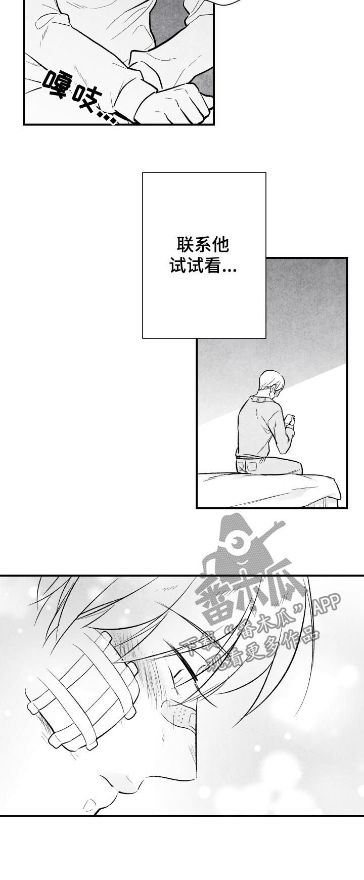 第24章：期待