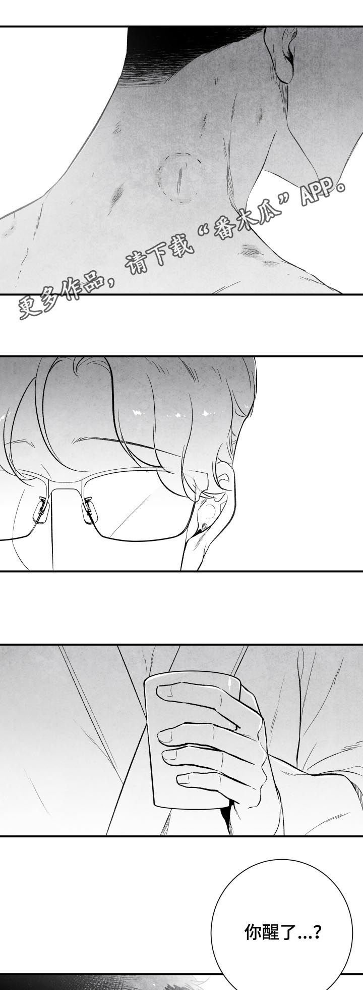 第25章：错过