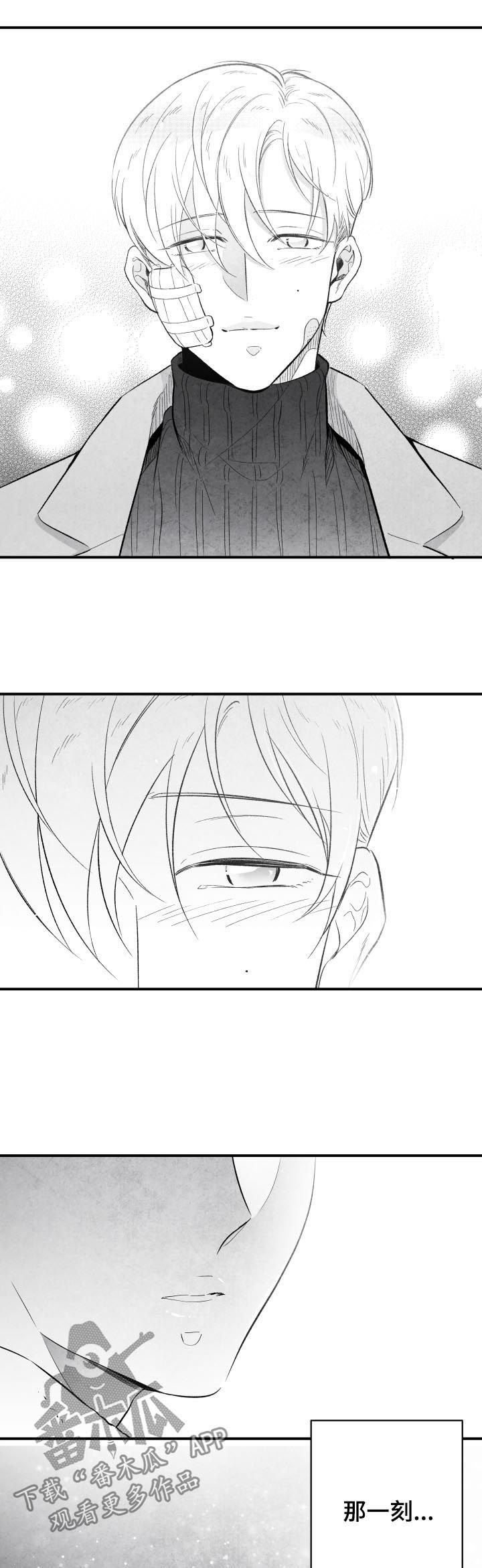 第26章：不负有心人