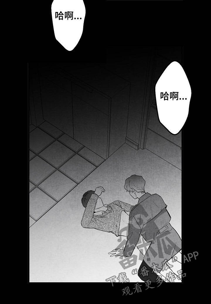 第39章：不同