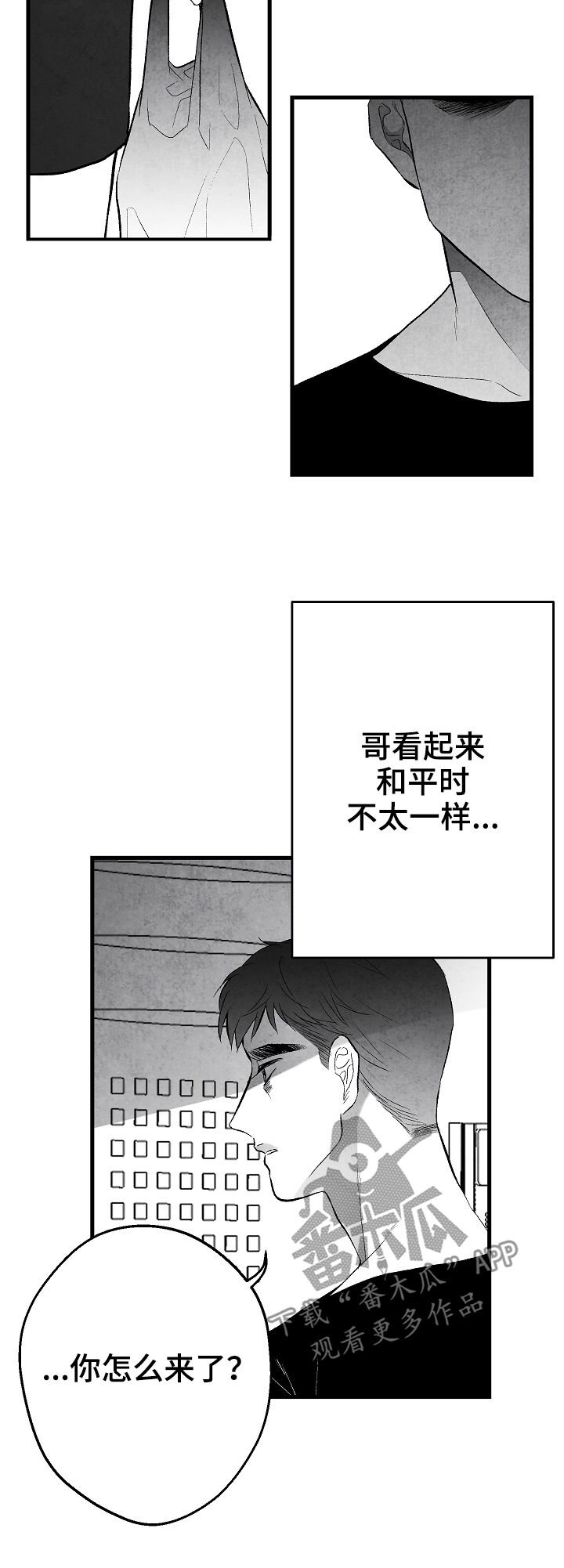 第40章：客人