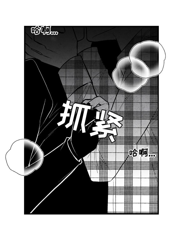 第43章：喜欢这个孩子