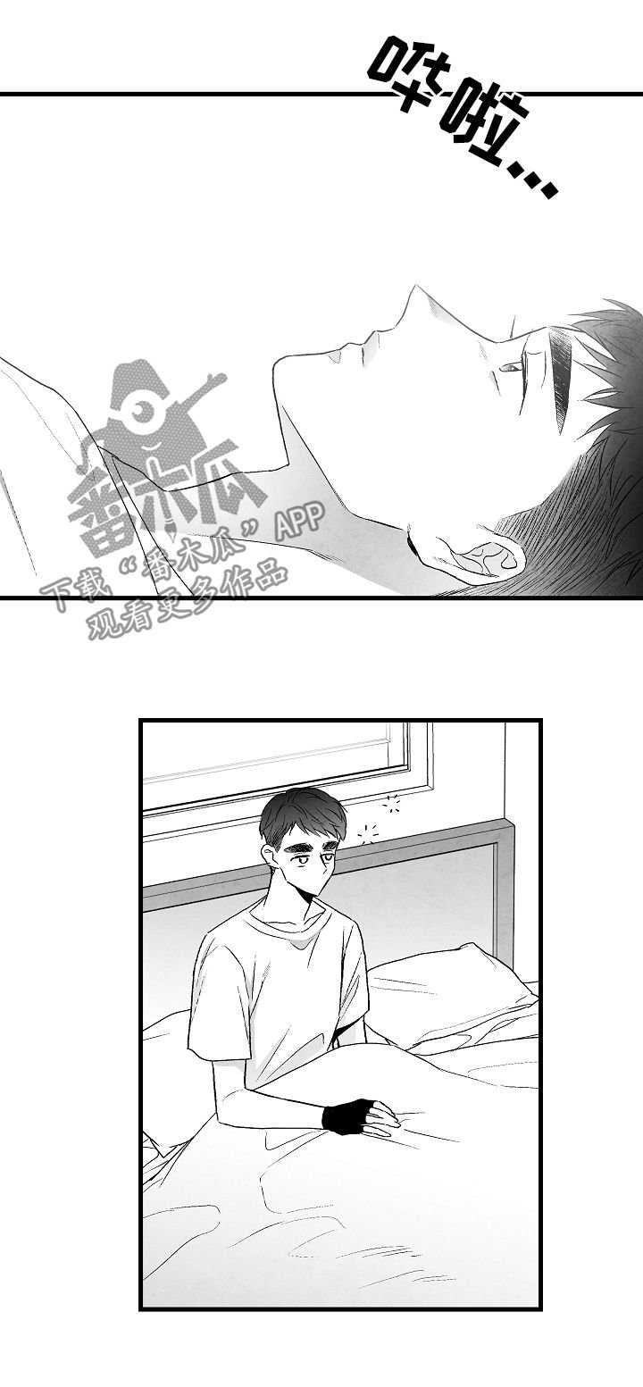 第46章：原则