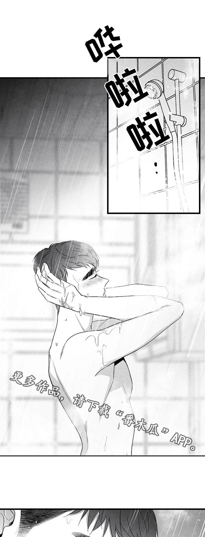 第46章：原则