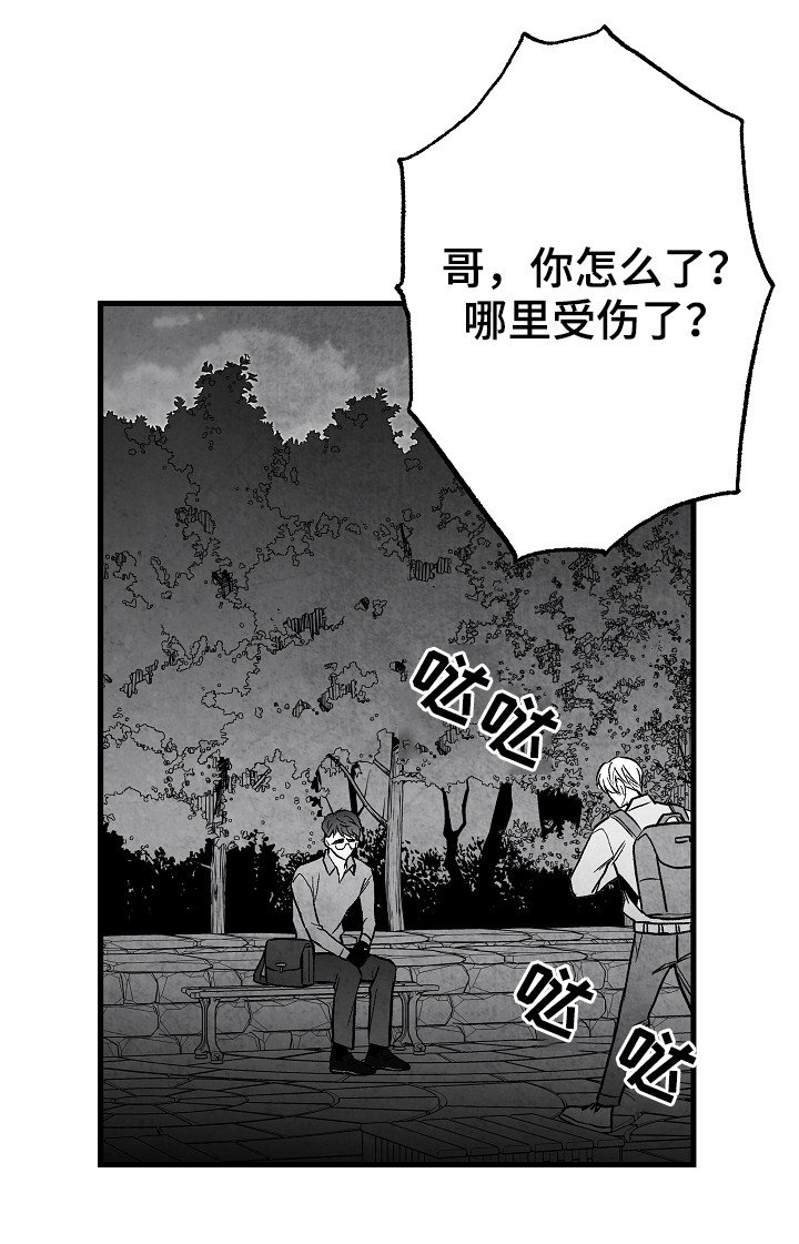 第49章：伤疤
