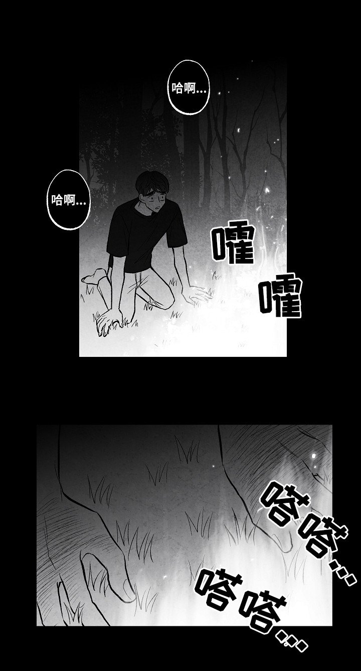 第50章：好甜