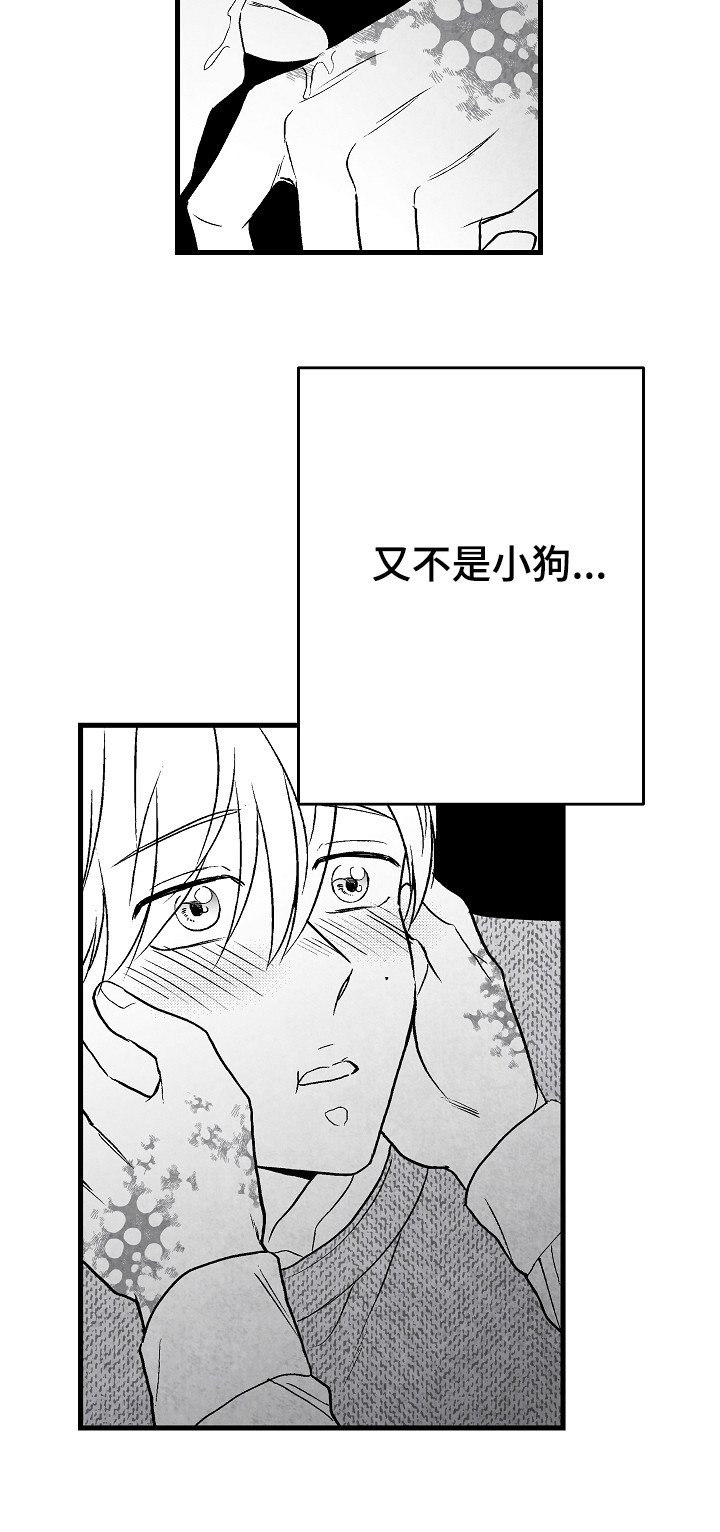 第52章：怎么办