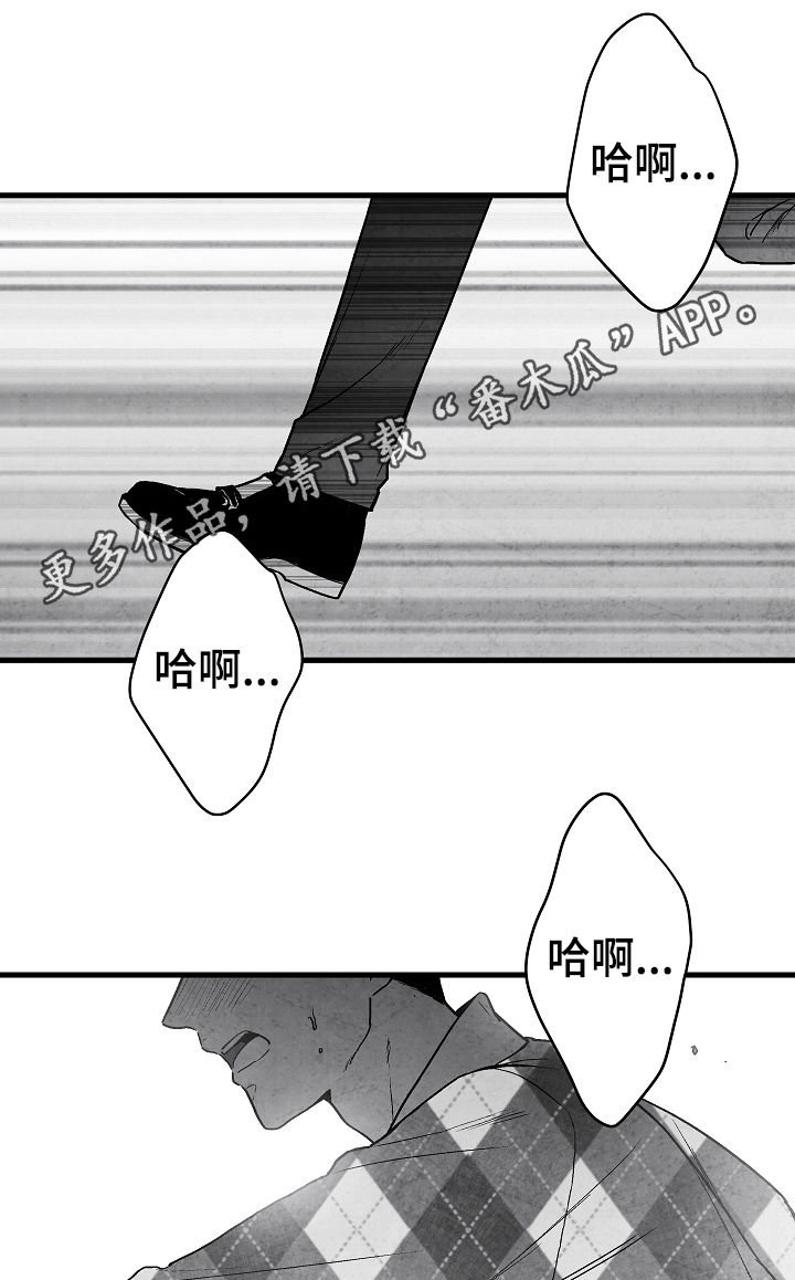 第61章：意外