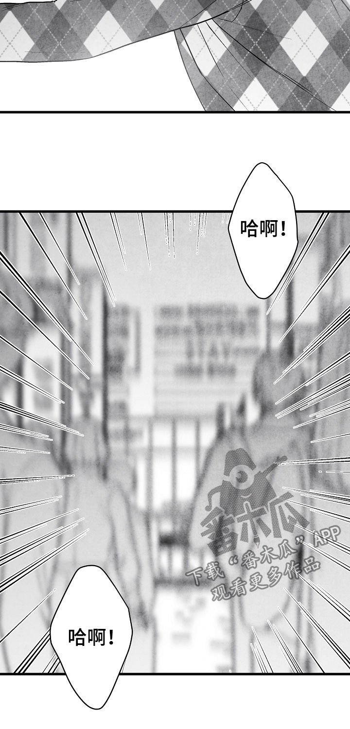 第61章：意外