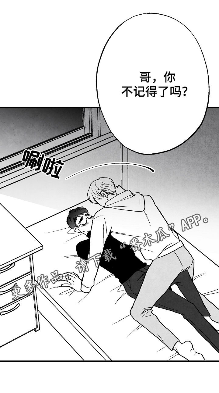 第65章：爱