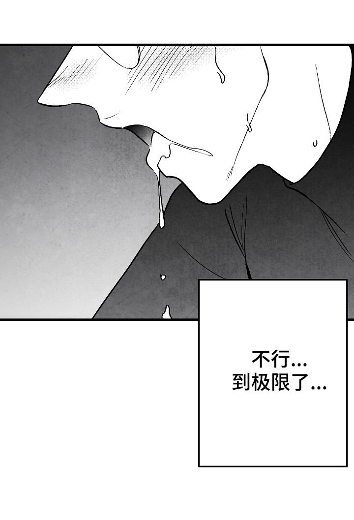 第66章：无法判断