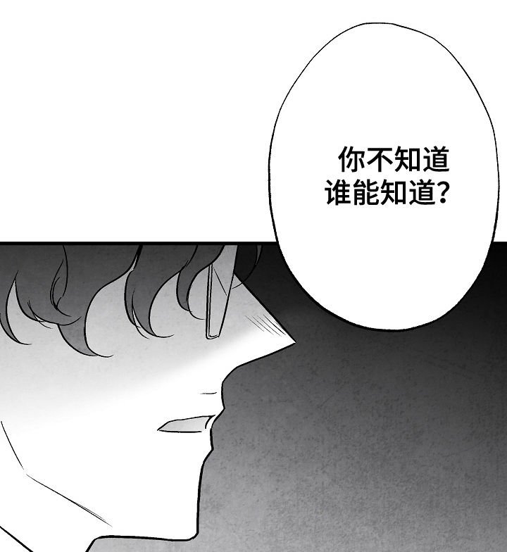第78章：【第二季】踪影