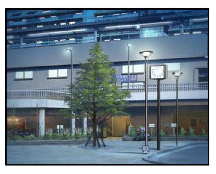 第10章：规定
