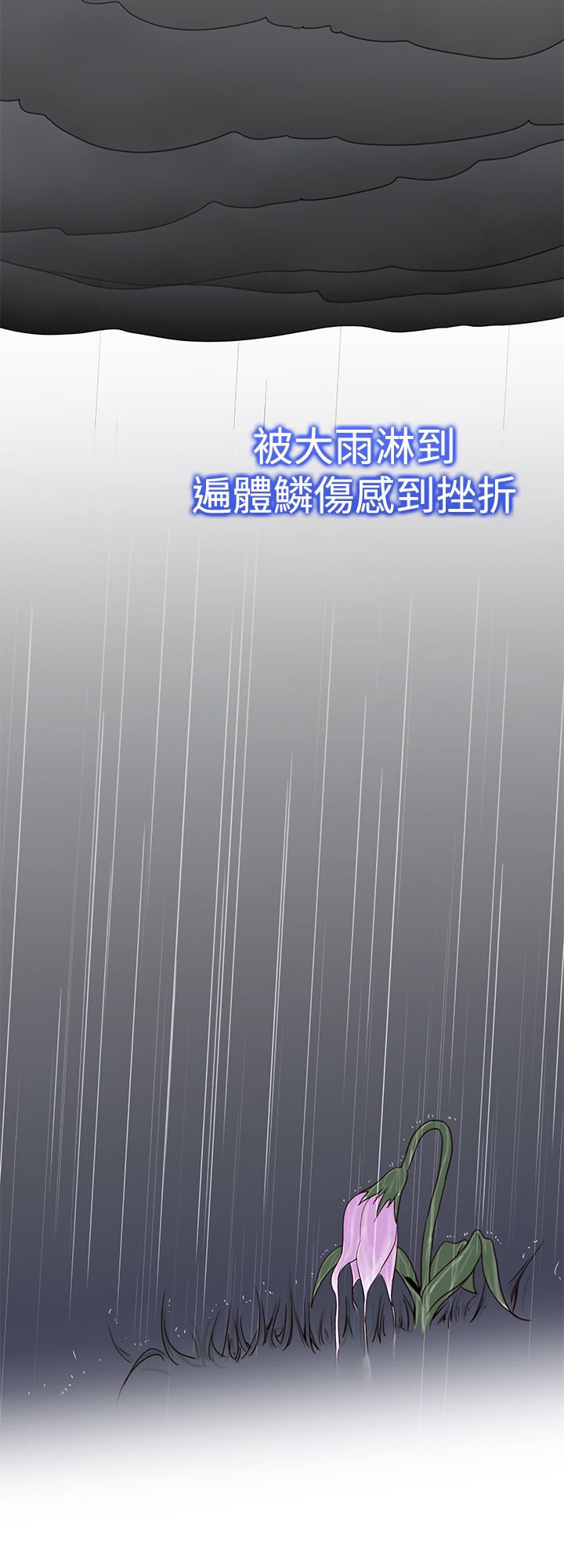第43章：完结