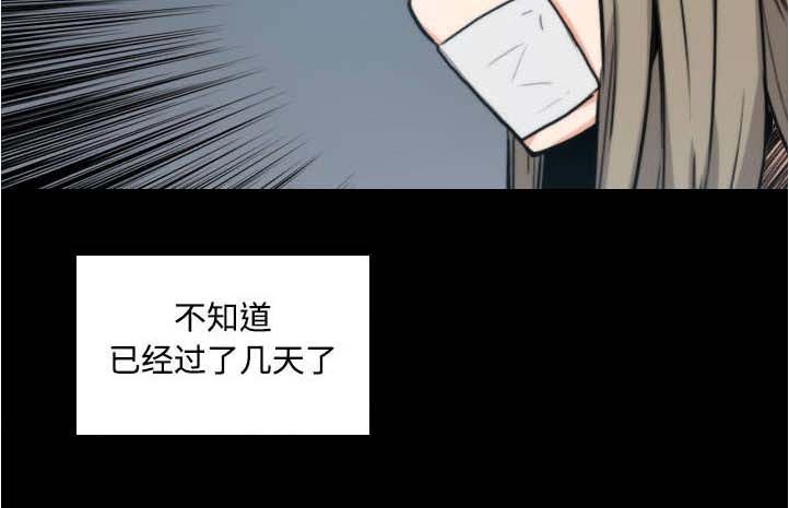 第44章：想法
