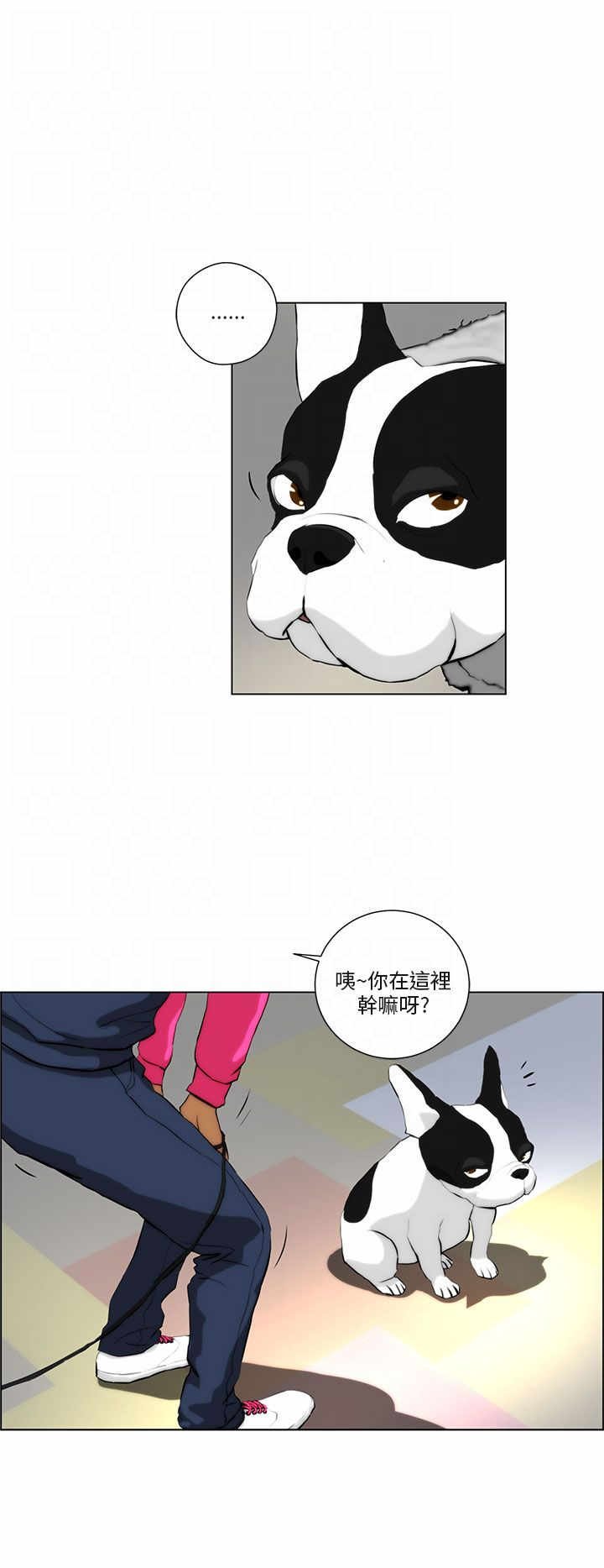 第1章：雷击