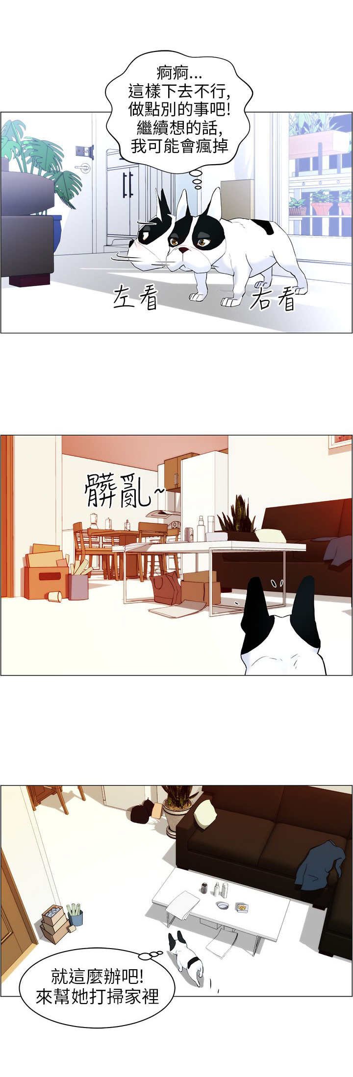 第11章：做卫生