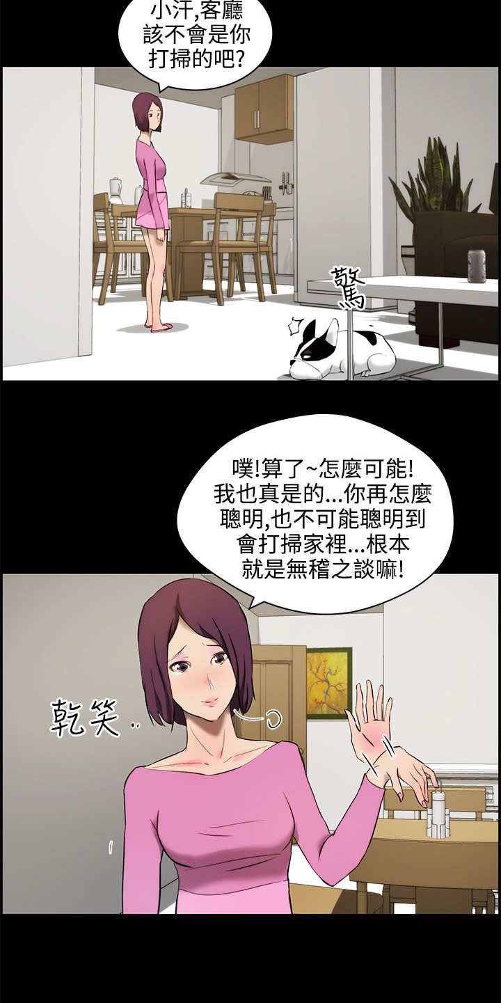 第13章：错觉