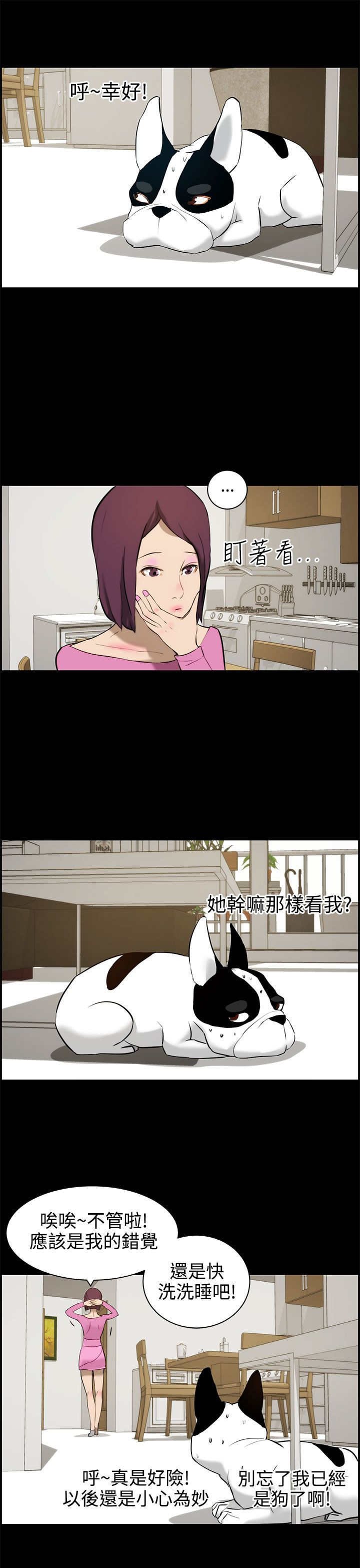 第13章：错觉