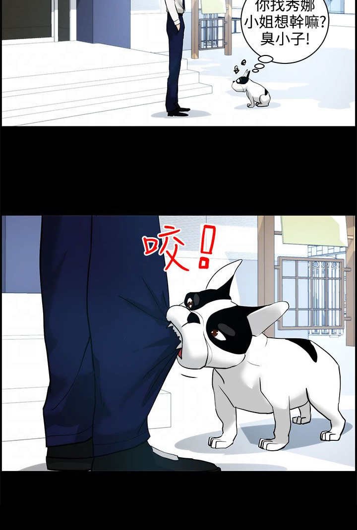 第14章：拜访