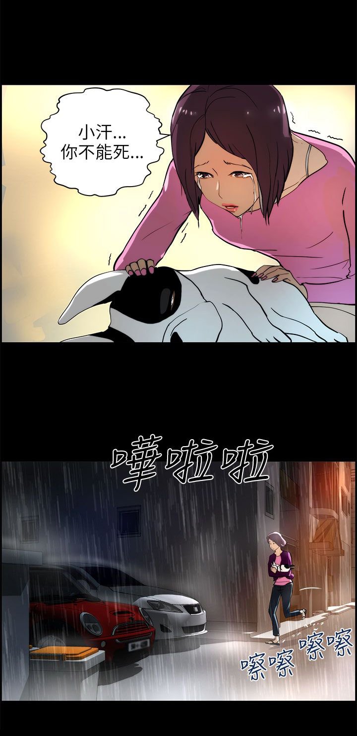 第24章：纪念币