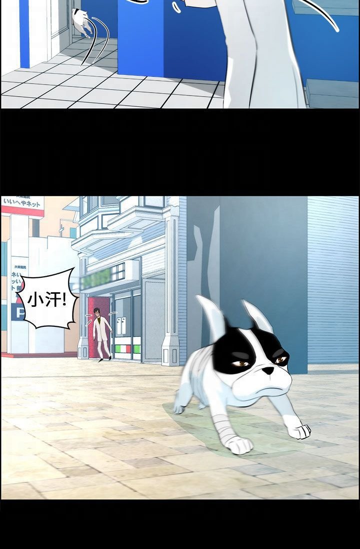 第27章：谈判