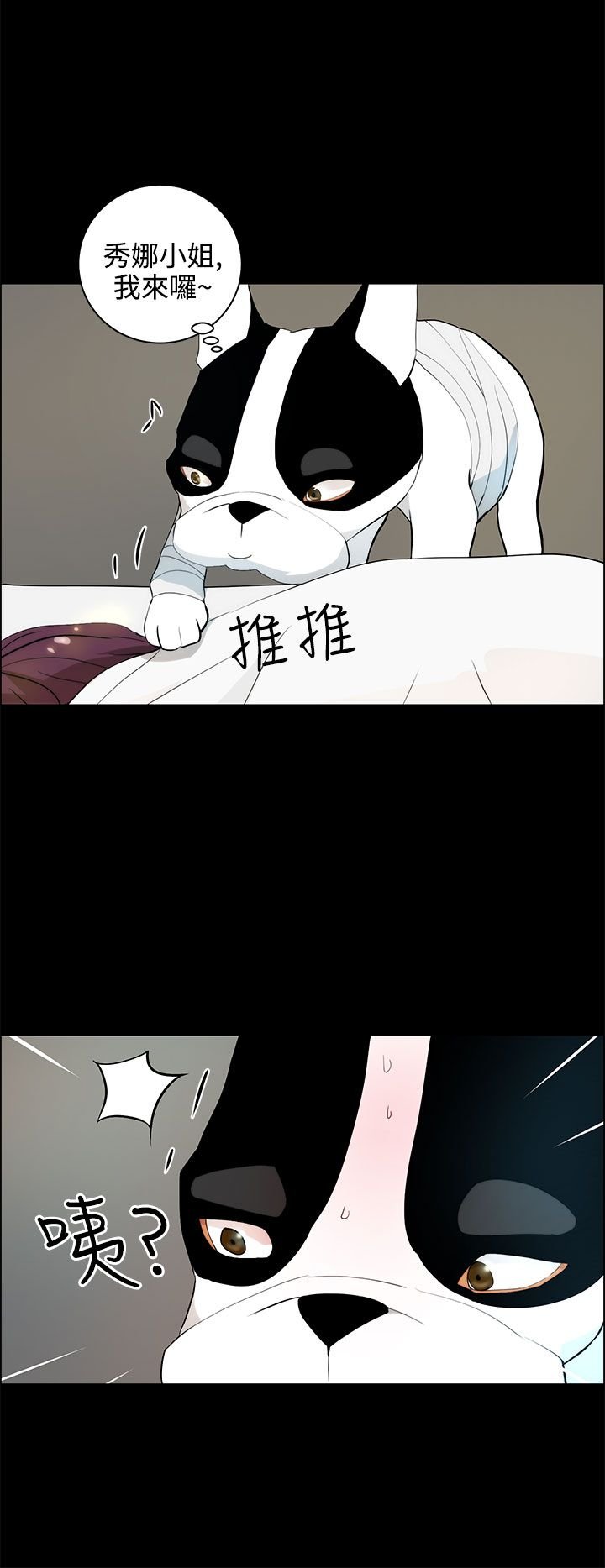 第28章：求救